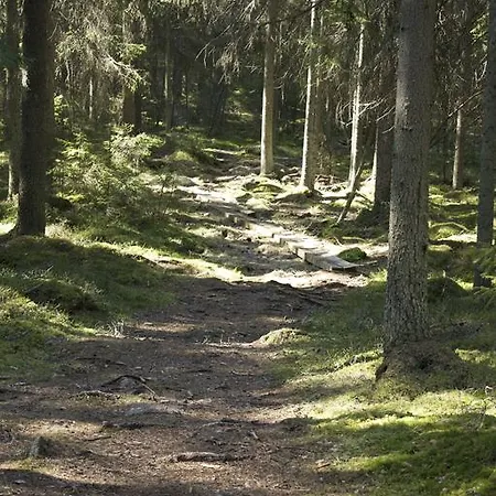 Kanniston Kotielaintila Alastaro